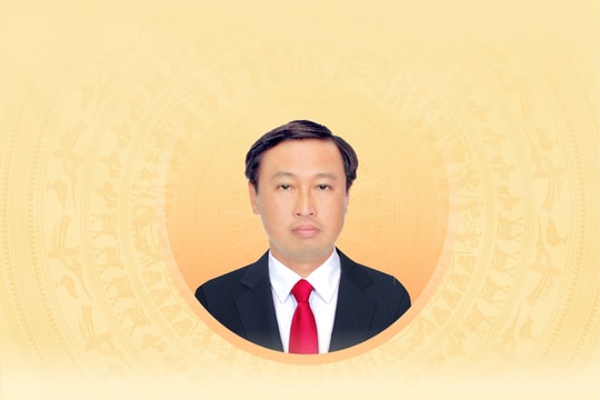 Tiểu sử tóm tắt và chương trình hành động của người ứng cử đại biểu Hội đồng nhân dân TP. Hồ Chí Minh khóa XI Huỳnh Thanh Nhân