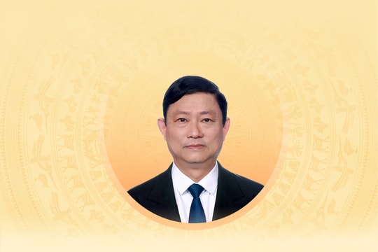 Tiểu sử tóm tắt và chương trình hành động của người ứng cử đại biểu Hội đồng nhân dân TP. Hồ Chí Minh khóa XI Võ Văn Minh