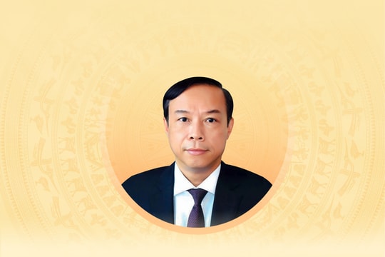 Tiểu sử tóm tắt và chương trình hành động của người ứng cử đại biểu Hội đồng nhân dân TP. Hồ Chí Minh khóa XI Nguyễn Văn Thọ