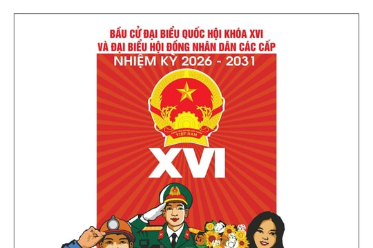 Những trường hợp nào cử tri chỉ được tham gia bầu cử đại biểu Quốc hội và đại biểu Hội đồng nhân dân cấp tỉnh?