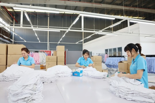 Những trường hợp bị chấm dứt hưởng trợ cấp thất nghiệp trong năm 2026