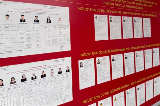 Thời hạn tạm ngừng việc xem xét khiếu nại, tố cáo đối với người ứng cử được quy định như thế nào?