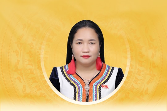 Chương trình hành động của người ứng cử đại biểu Quốc hội Khóa XVI tỉnh Khánh Hòa Chamaléa Thị Thủy