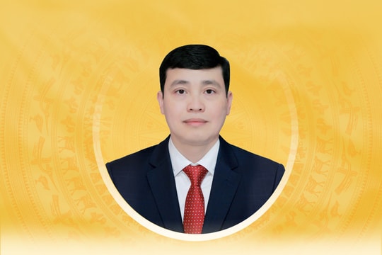 Tiểu sử tóm tắt và chương trình hành động của người ứng cử đại biểu Quốc hội khóa XVI TP. Hồ Chí Minh Đỗ Đức Hiển