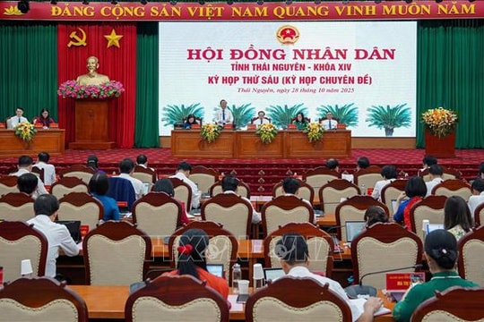 Việc điều chỉnh cơ cấu, thành phần, số lượng đại biểu Hội đồng nhân dân được bầu của cơ quan, tổ chức, đơn vị ở địa phương được quy định như thế nào?