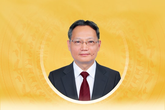 Tiểu sử tóm tắt và chương trình hành động của người ứng cử ĐBQH khóa XVI tỉnh Đồng Nai Lê Hoàng Hải