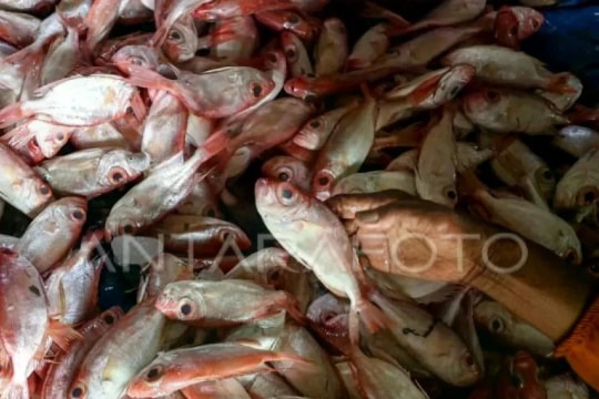 Indonesia tightens oversight of imported aquatic products