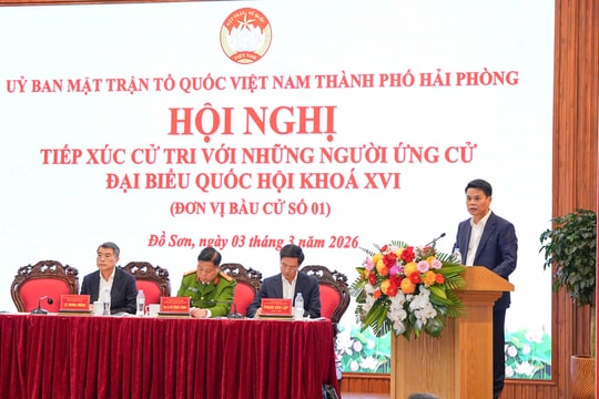 Tiếp tục đề xuất hoàn thiện cơ chế, chính sách đặc thù cho thành phố cảng