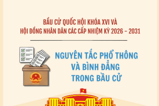 [Infographic] Nguyên tắc phổ thông và bình đẳng trong bầu cử