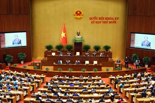 France-based expert suggests elevating parliamentary diplomacy to support national development