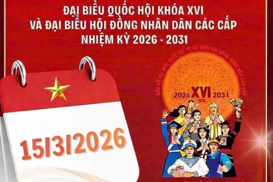Hiệu quả chương trình hành động là thước đo chất lượng đại biểu