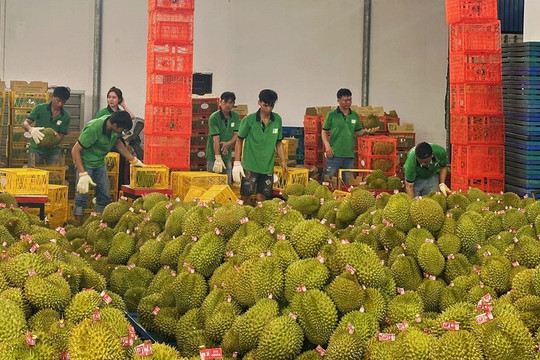Doanh nghiệp xuất khẩu thực phẩm sang Trung Quốc phải đăng ký theo quy định mới