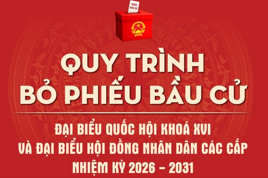 [Infographic] Quy trình bỏ phiếu bầu cử ĐBQH khoá XVI và đại biểu HĐND các cấp nhiệm kỳ 2026 - 2031