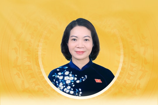 Tiểu sử tóm tắt và chương trình hành động của người ứng cử đại biểu Quốc hội khóa XVI tỉnh Ninh Bình Mai Thị Phương Hoa