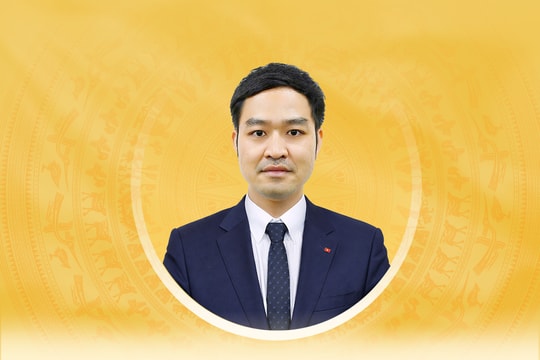 Tiểu sử tóm tắt và chương trình hành động của người ứng cử đại biểu Quốc hội khóa XVI tỉnh Đồng Tháp Lê Trung Quân
