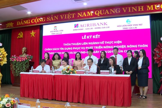 Hợp tác phát triển tín dụng cho nông nghiệp nông thôn tại Gia Lai