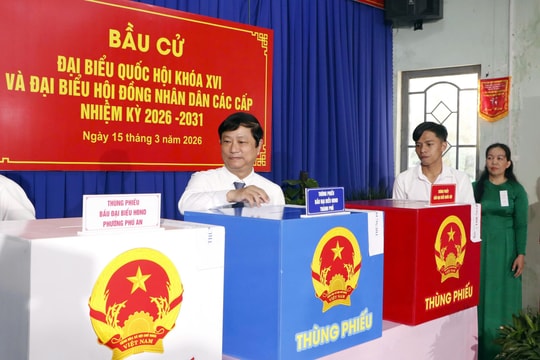TP. Hồ Chí Minh: Người đại biểu được dân bầu chọn phải phản ánh trung thực tiếng nói của cử tri