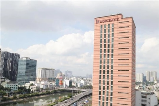 World-standard workforce crucial to building int’l financial centre