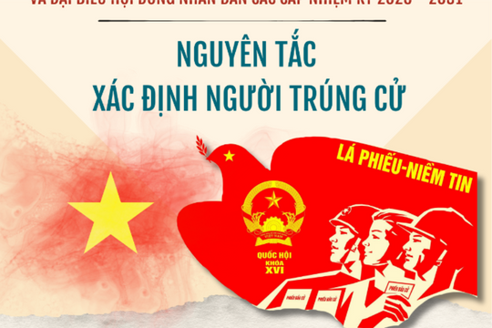 Nguyên tắc xác định người trúng cử đại biểu Quốc hội, HĐND các cấp