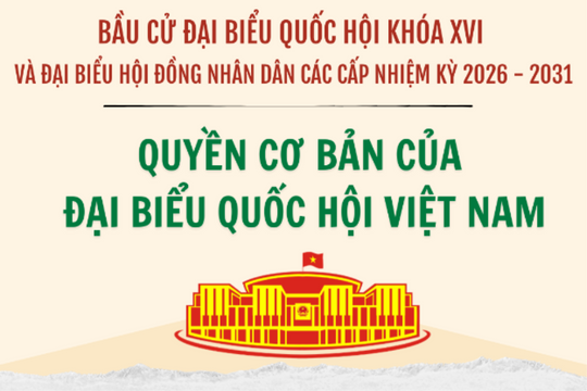 Quyền cơ bản của Đại biểu Quốc hội Việt Nam