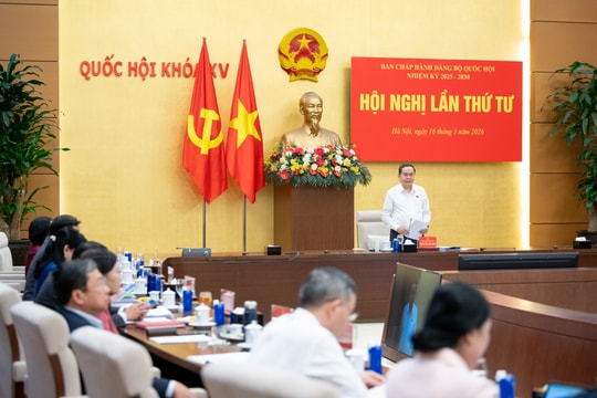 Authorities begin reviewing election results: NA Chairman Tran Thanh Man