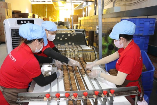Tây Ninh: Tư vấn pháp luật miễn phí cho doanh nghiệp, hộ kinh doanh