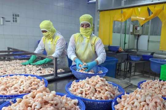 Fisheries sector proactively adjusts to emerging challenges