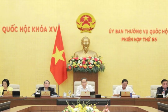 Nghiên cứu mở chức năng, nhiệm vụ các cơ quan đại diện Việt Nam ở nước ngoài