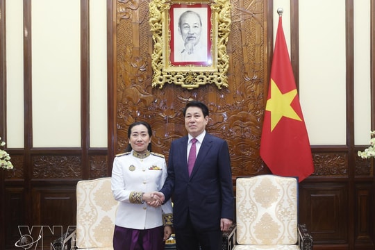 Vietnam eyes stronger relations with Cambodia, Saudi Arabia, Dominica: State President