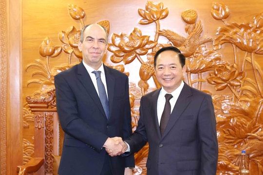 Vietnam, Cuba step up practical cooperation to reinforce special ties