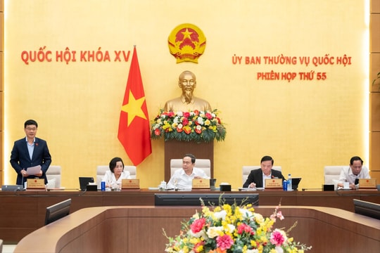 Áp dụng cơ chế đặc thù cho cán bộ làm công tác giải quyết tranh chấp đầu tư quốc tế