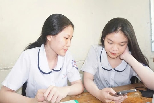 TP. Hồ Chí Minh: Sắp xếp các cơ sở giáo dục đại học và nghề nghiệp