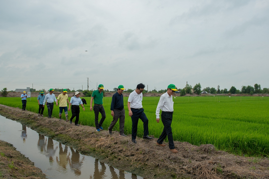 Bình Điền khảo sát và gặp gỡ nông dân tham gia chương trình "Hành trình xanh – đất khỏe, cây trồng khỏe"