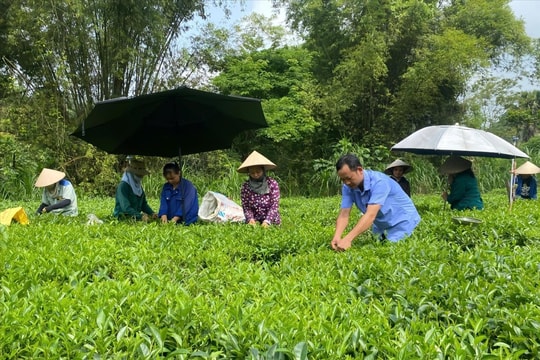 Chuyển từ hỗ trợ sang đồng hành