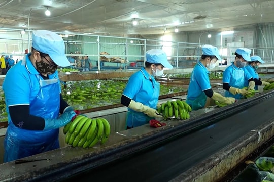 Xuất nhập khẩu tăng tốc đầu năm