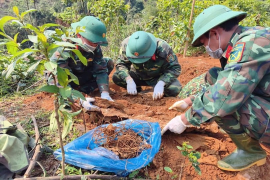 Quảng Trị: Phát hiện hài cốt liệt sĩ cùng tăng võng, dây thông tin và nhiều mảnh đạn