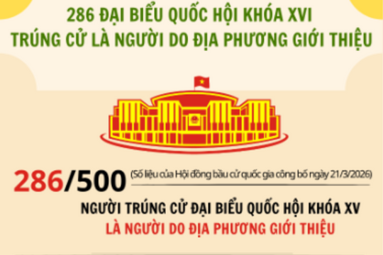 [Infographic] 286/500 đại biểu do địa phương giới thiệu trúng cử Quốc hội khóa XVI
