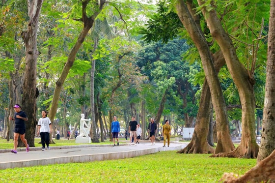 Từ những công viên không hàng rào