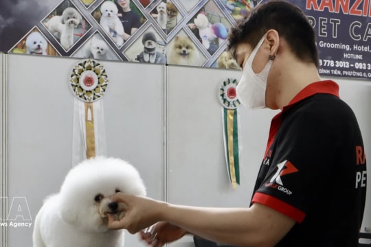 Vietnamese pet market attractive to RoK businesses