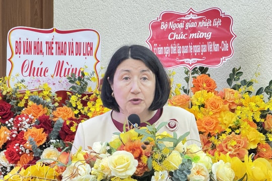 Vietnam, Chile celebrate 55th anniversary of diplomatic ties