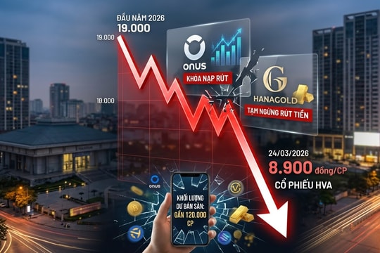 Cổ phiếu HVA "trắng bên mua" sau sự cố khóa nạp rút tại ONUS và HanaGold