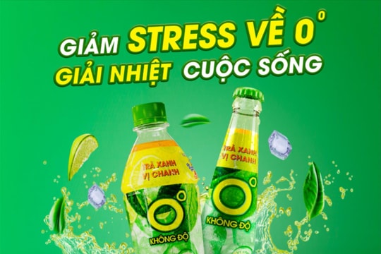 Trà xanh không độ: Đánh thức giá trị từng lá trà tươi trên vùng đất đệ nhất danh trà