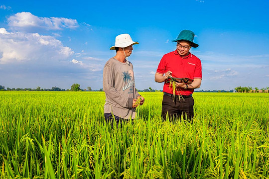 Agribank khẳng định bản lĩnh ngân hàng "trụ cột" qua các dự án trọng điểm quốc gia