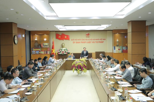 Triển khai thực hiện tổng rà soát hệ thống văn bản quy phạm pháp luật