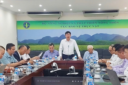 Doanh nghiệp phân bón tăng sản xuất, giữ nguồn cung giữa biến động chi phí