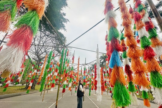 Bảo tàng: Từ nơi lưu giữ ký ức đến điểm hẹn sáng tạo