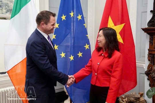 Vietnam, Ireland hold deputy foreign minister-level political consultation to advance bilateral cooperation