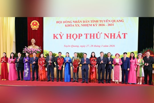 Nâng cao hiệu lực, hiệu quả hoạt động