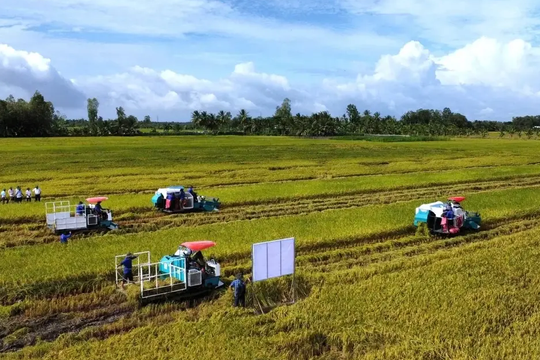 Doanh nghiệp, hiệp hội chung tay giữ nhịp sản xuất nông nghiệp
