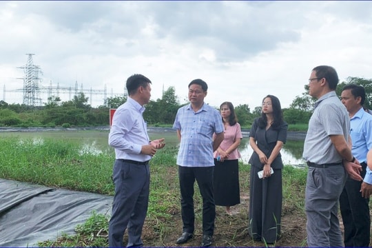 Giám sát đến cùng, chất vấn thẳng vấn đề
